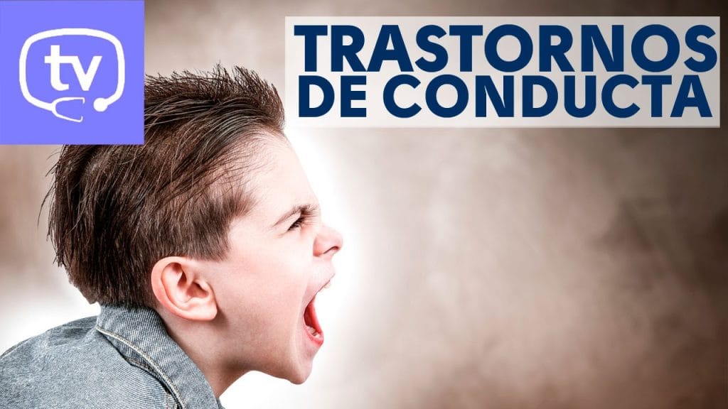 Aspectos legales de la tutela en casos de menores con problemas de conducta