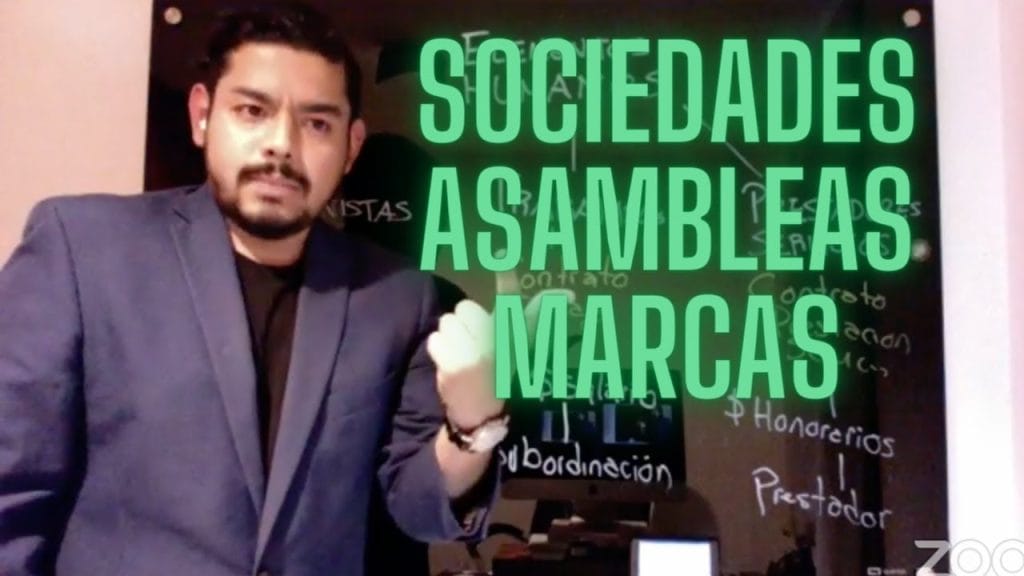 derecho corporativo sergio salomón zarkin cortés pdf