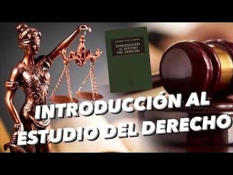derecho-publico-segun-garcia-maynez | C. Abogados News derecho publico segun garcia maynez