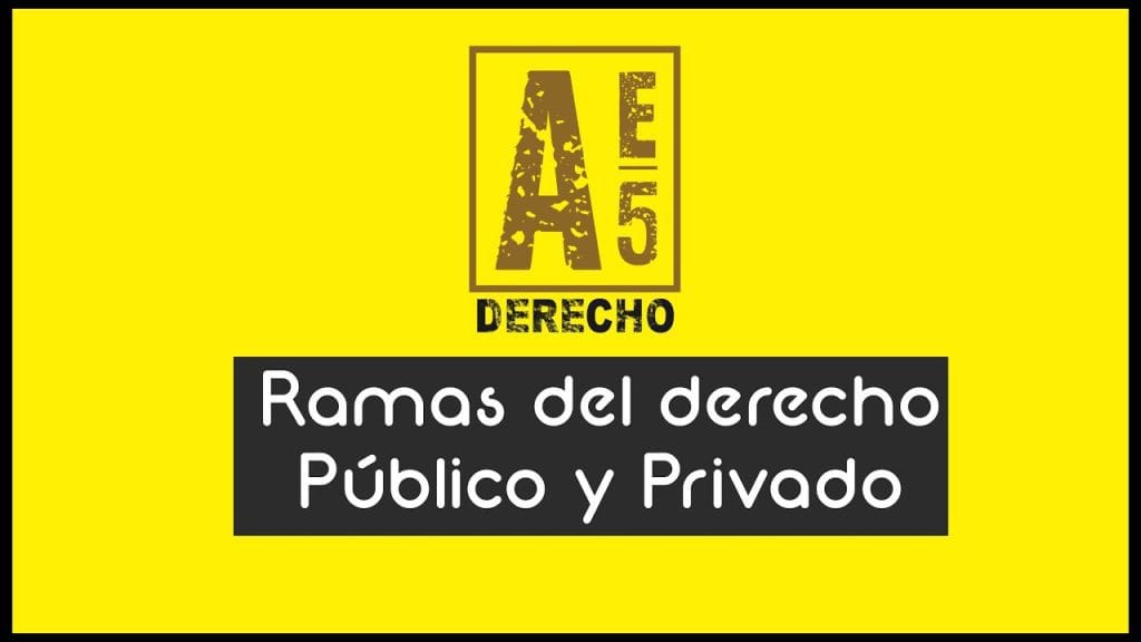 tipos de enfoques en Cuáles son las ramas del Derecho más demandadas