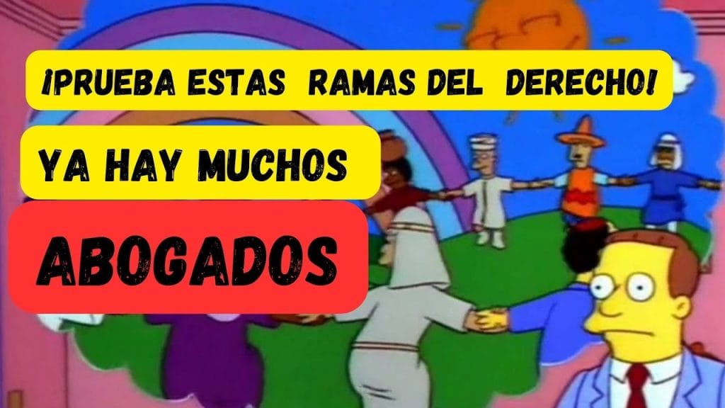 cómo aprovechar al máximo Cuáles son las ramas del Derecho más demandadas