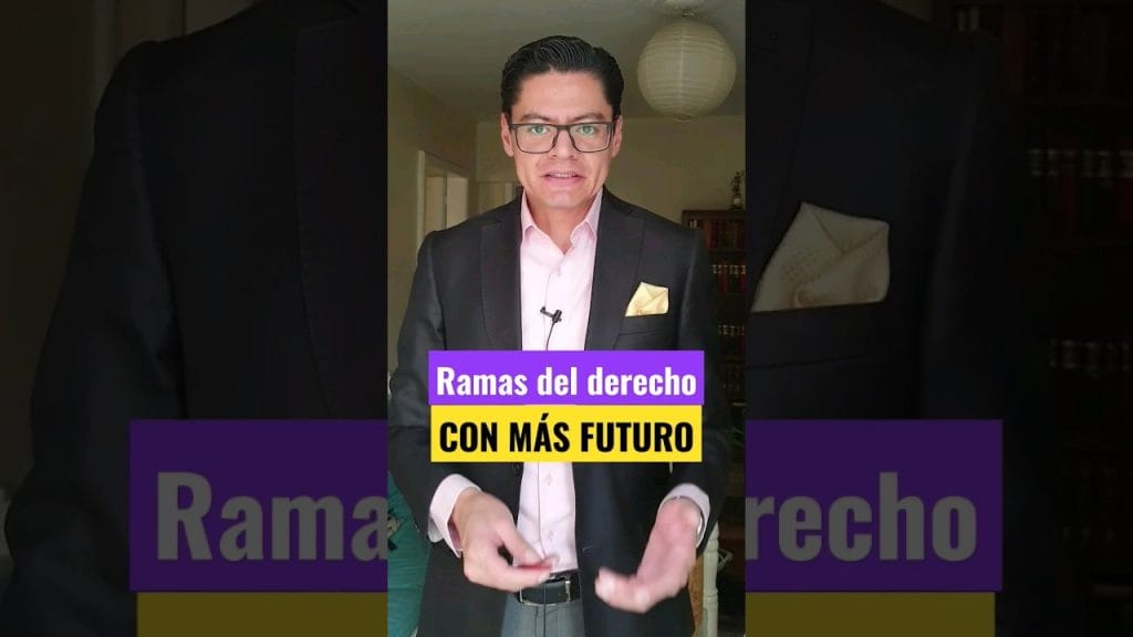 cómo conocer la historia de Cuáles son las ramas del Derecho más demandadas