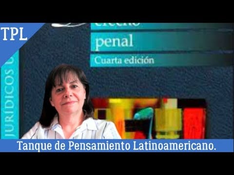 derecho penal griselda amuchategui