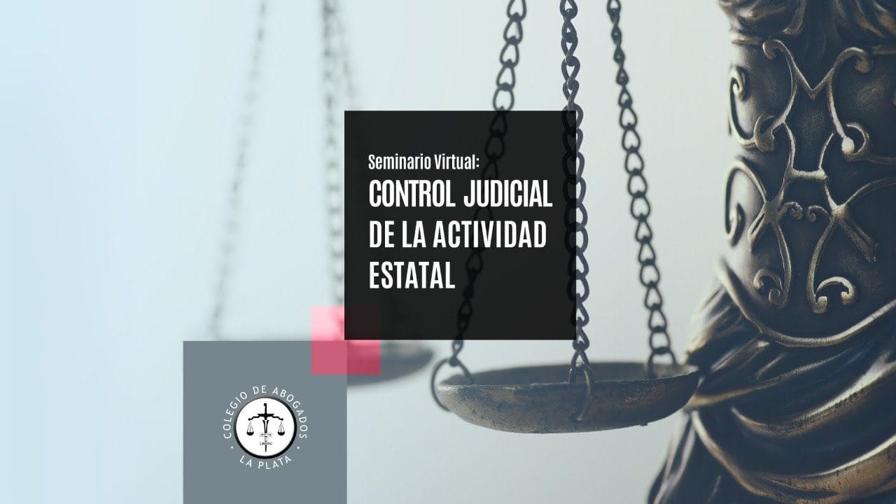 derecho constitucional adolfo gabino ziulu