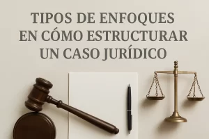 tipos de enfoques en Cómo estructurar un caso jurídico