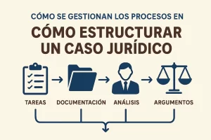 como-se-gestionan-los-procesos-en-Como-estructurar-un-caso-juridico | C. Abogados News cómo se gestionan los procesos en Cómo estructurar un caso jurídico